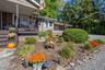 Front garden area.
