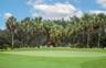 16th green !!!