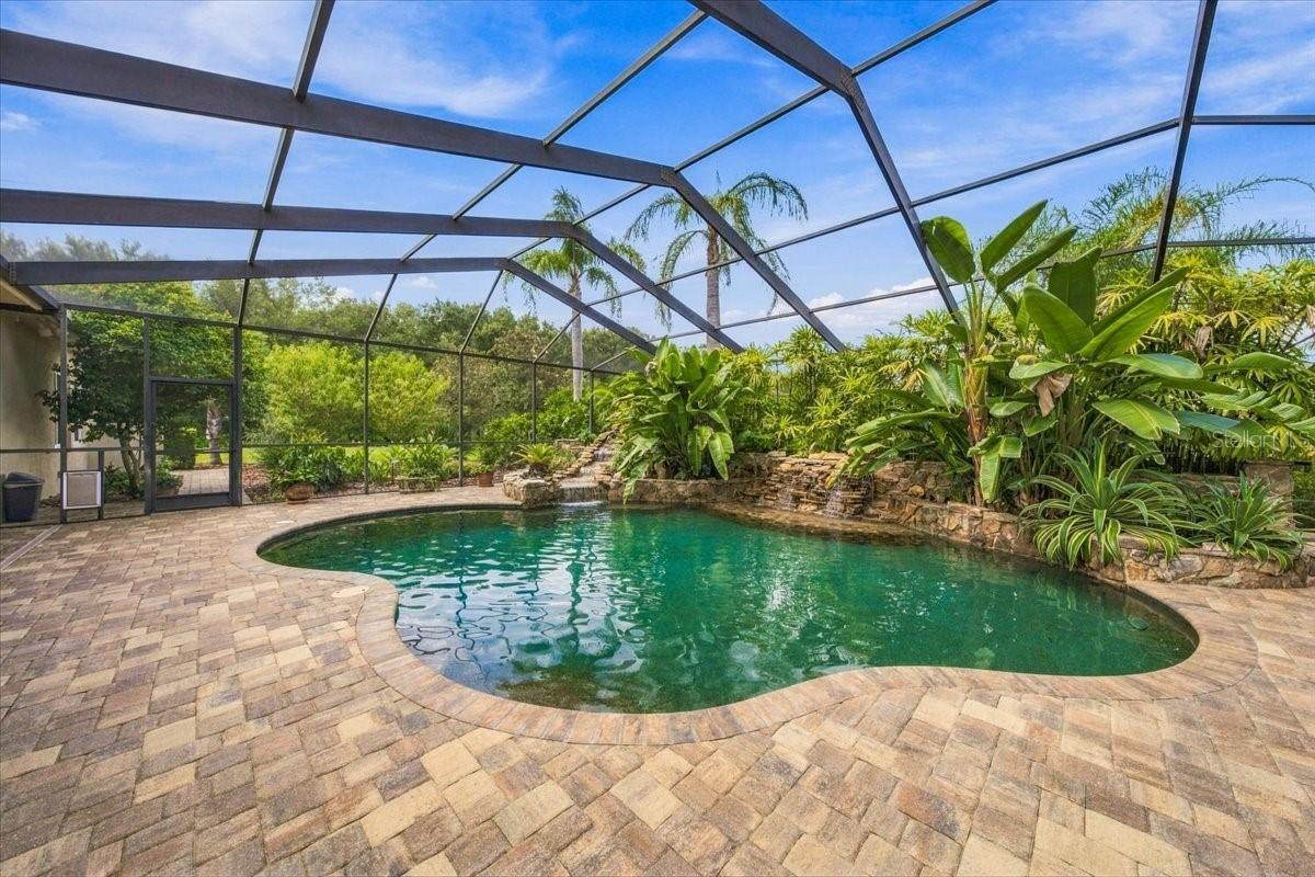Beautiful custom saltwater pool serves as the centerpiece of the outdoor retreat.