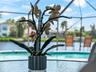 Pool_2903rdStreet_BonitaSprings_ScreenEnclosure_Detail.jpg