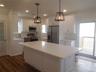 QUARTZ COUNTER W SHAKER CABINETS