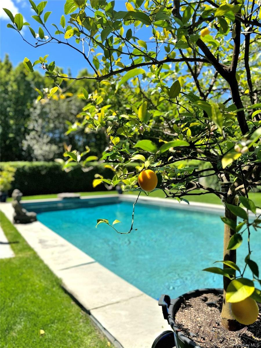 View of outdoor pool