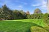 Expansive Yard