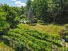 Rear View - Vineyard!