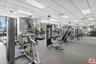 Gym + trainers