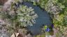 Permitted and stocked pond