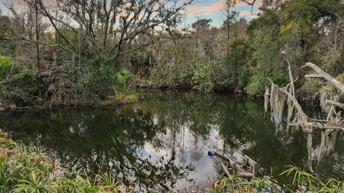 Pond on Well Water