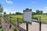 Dog Park