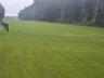 2500 ft Runway facing South