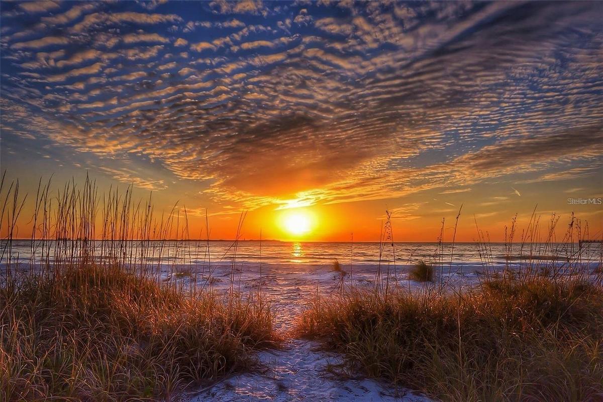 World Famous Sunsets