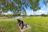 COMMUNITY RECREATION AREA POND AREA