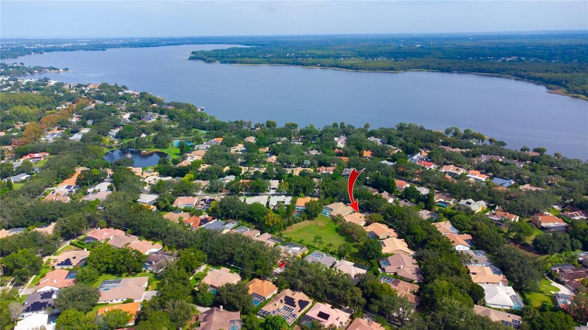 LAKE TARPON