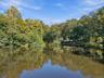 Pond