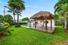 Pool/Backyard