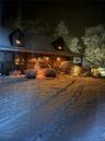 Gorgeous and festive in the snow!