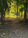 Scenic trails