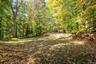 Open sky, framed by the forest