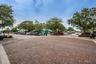 Downtown Palm Harbor