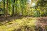 A clearing in the woods to call your own
