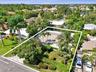 Lush tropical landscaping with mature palm trees and established plantings
