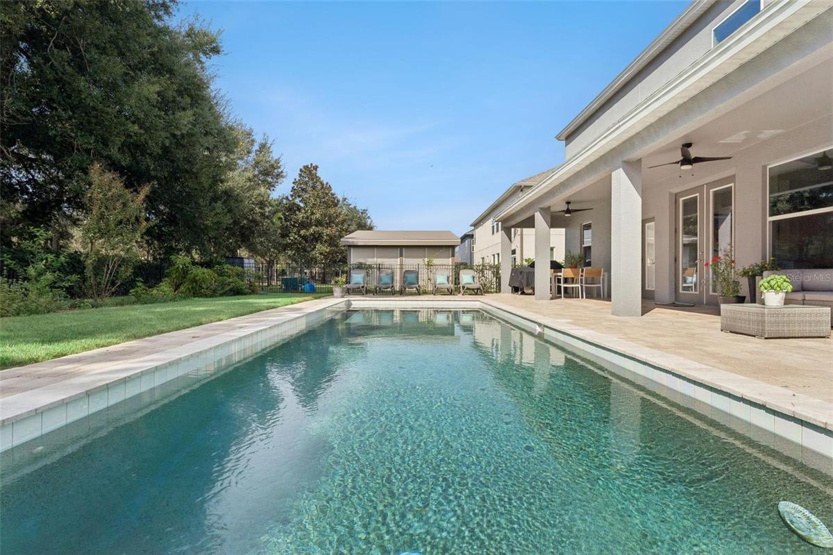 Pool & Patio
