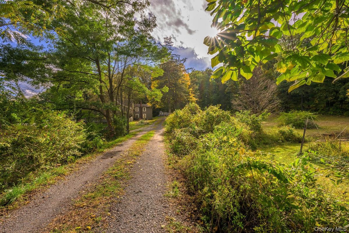 Gravel drive leading to a stone-clad residence surrounded by mature trees and lush vegetation