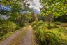 Gravel drive leading to a stone-clad residence surrounded by mature trees and lush vegetation