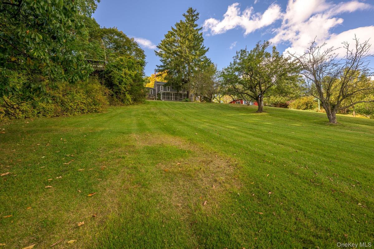Expansive green lawn with mature trees and distant residential structure
