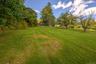Expansive green lawn with mature trees and distant residential structure