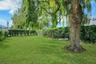 Side Yard