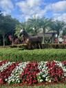 Thoroughbred Lakes