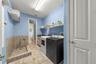 Dog Wash