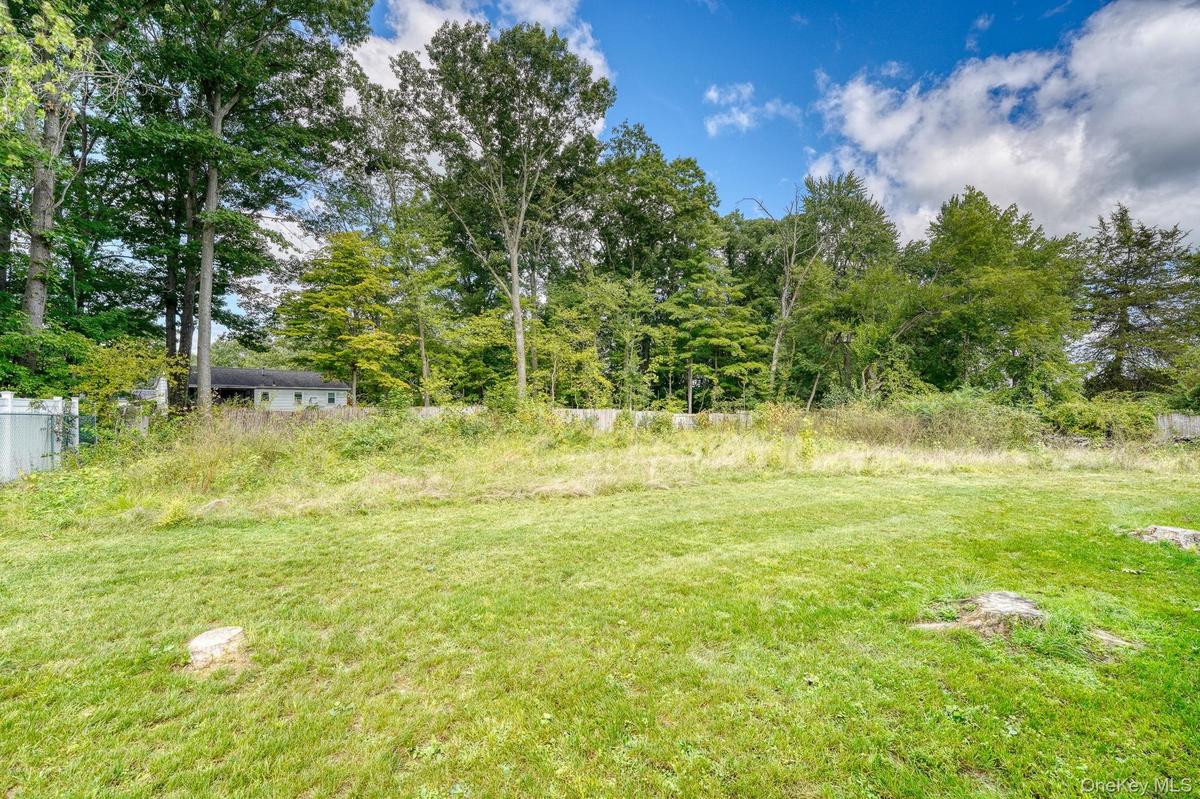 Peaceful backyard view featuring a lush green lawn bordered by mature trees and natural foliage. The wooded backdrop provides privacy and a serene atm