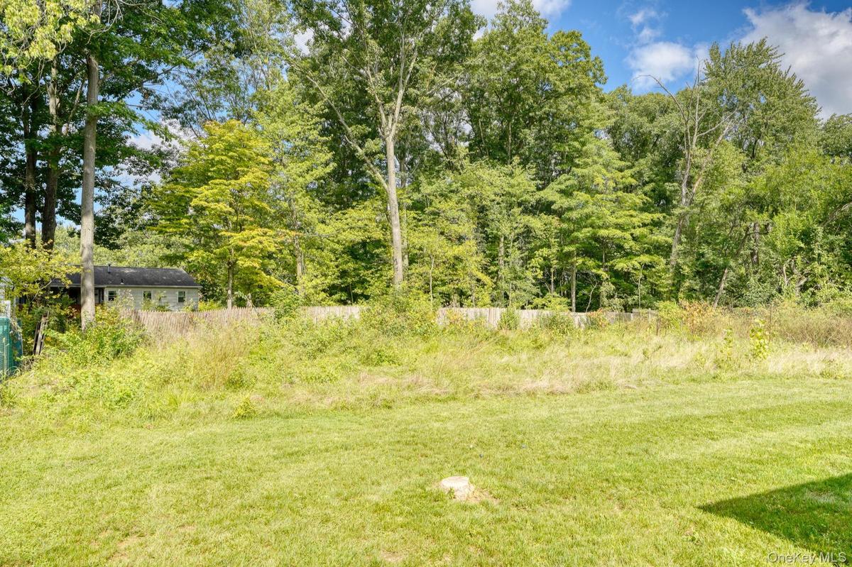 Expansive backyard surrounded by tall trees and natural greenery, offering a tranquil, park-like setting. The open grassy area transitions into a wood
