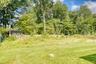 Expansive backyard surrounded by tall trees and natural greenery, offering a tranquil, park-like setting. The open grassy area transitions into a wood