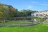 Pond View from Deck
