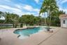 Free-form swimming pool with integrated spa, bordered by mature palm trees and extensive hardscaping