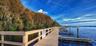 Lansbrook Lakefront