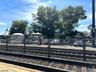 Walnut St Station