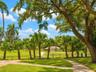 Expansive green space featuring a paved walkway, mature trees, and a distant building with a covered patio