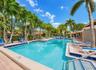 Outdoor swimming pool with tiled border and integrated steps, surrounded by mature palm trees and a paved deck