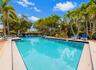 Swimming pool featuring a perimeter of mature palm trees, brick paver decking, and integrated pool ladders