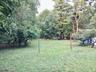 Rear yard 100x255