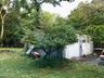 Rear yard