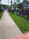 Manicured lawn area with a black metal fence, a concrete walkway, and mature palm trees