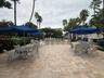 Expansive paver patio with a herringbone pattern, surrounded by lush landscaping and mature palm trees