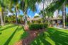 Manicured lawn with mature palm trees and tropical landscaping