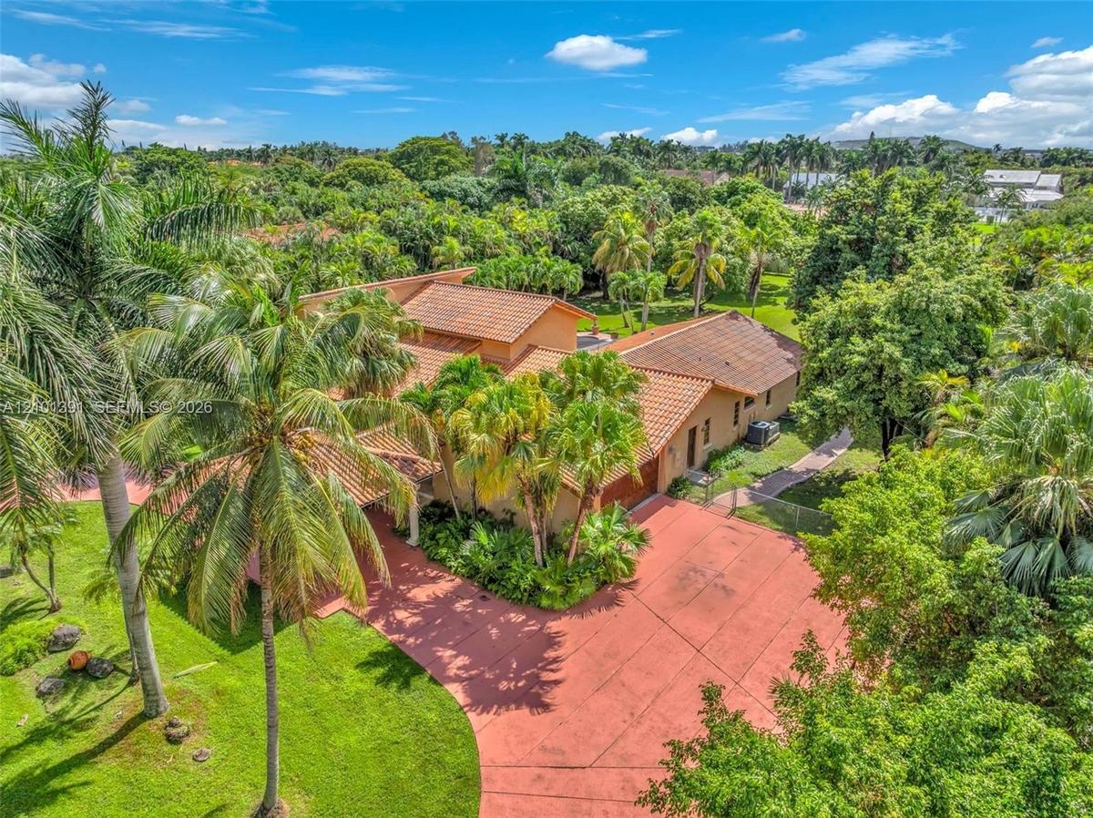 Extensive landscaping with mature palm trees, broad paved driveway, and terracotta roof tiles