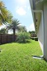 Expansive side yard featuring a manicured lawn, established palm trees, and a wood privacy fence