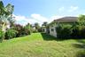 Expansive grassy yard with mature tropical landscaping and established shrubs